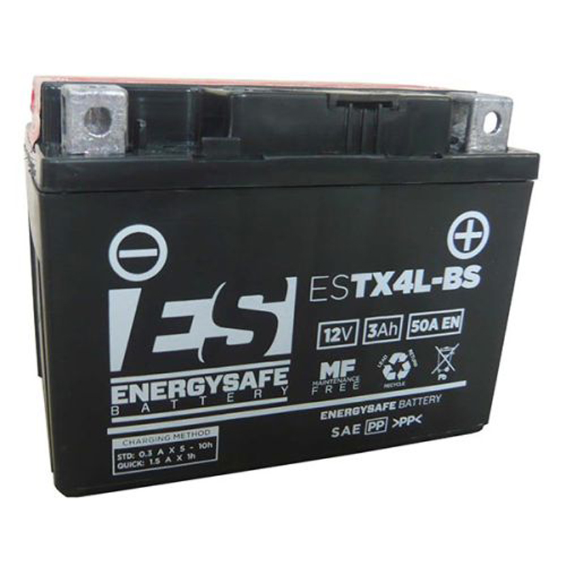 BATERIA ENERGYSAFE TGB 101S 2T 50 1999 - 2002 BATERIA ENERGYSAFE TGB 101S 2T 50 1999 - 2002